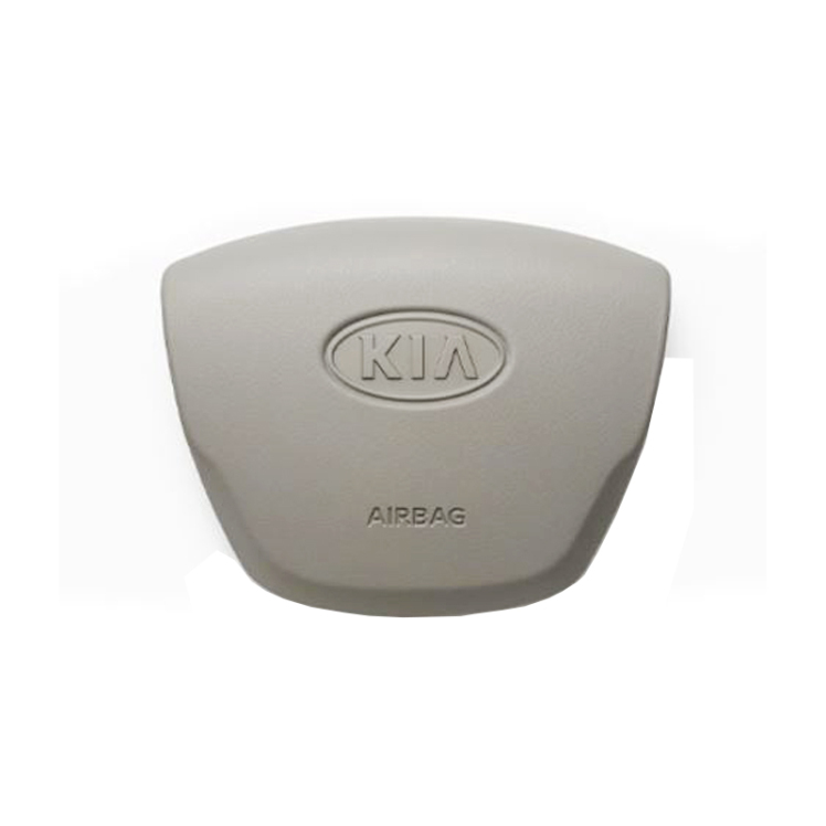 رو بوقی ریو - روبوقی ریو طوسی - روبوقی ریو اصلی جینیون کیاموتورز