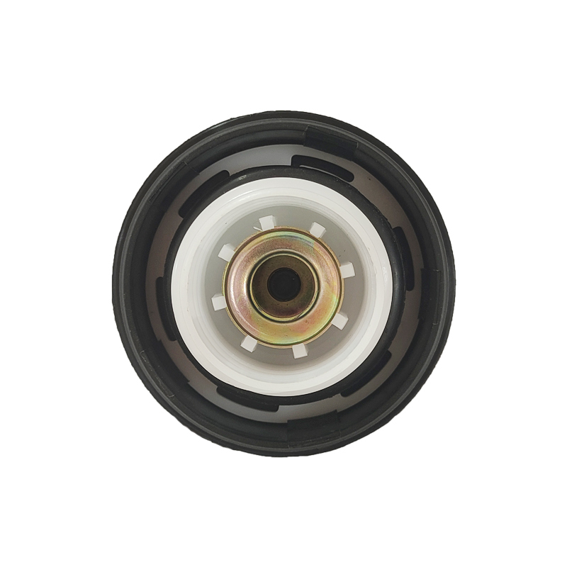  در باک بنزین ساینا - در باک بنزین تیبا 